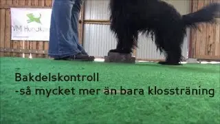 Bakdelskontroll   s&aring; mycket mer &auml;n bara klosstr&auml;ning