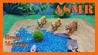 ASMR Brown Crinkle Paper Blue Crystal Tigers Brain Massage Satisfying Relaxing Sound Play Diorama