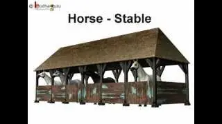 Science - Animals and their Homes - English