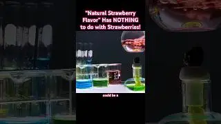&ldquo;Natural Strawberry Flavor&rdquo; Has NOTHING to do with Strawberries!