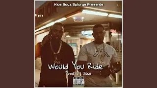Would You Ride (feat. Hyfee)