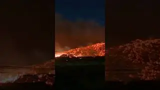 Enormous Wild Fire || Northwest Houston #shorts #wildlife