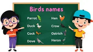 Birds name in English with Marathi meaning & picture. Learn Bird Name. पक्षांची नावे मराठी व इंग्रजी