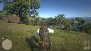 Red Dead Redemption 2 pt 8 chapter 2