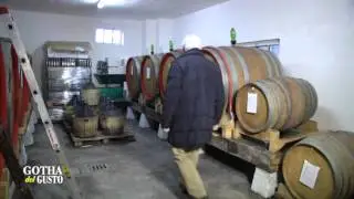 RONCADA, passione ed esperienza sui vini friulani