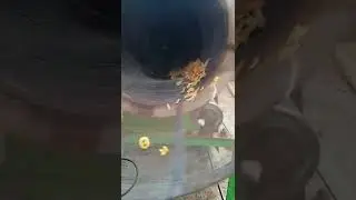 fryums fry machine 9883027204
