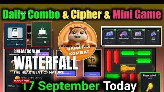 17 September Daily Combo & Daily Cipher & Mini Game | Hamster Kombat Daily Combo & Mini Game 🎮🎯