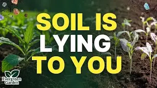 The Soil Minerals That Separate Average Gardens from Legendary Ones