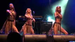 Dont Take My Coconuts