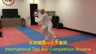 Программа международных соревнований по тайцзи-болу #международный #кунгфу #соревнование #тайцзибол