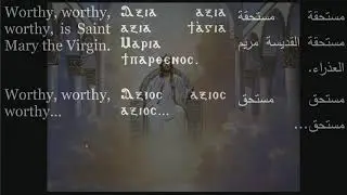 Queen Saint Mary & Prince Tadros [QSMPT] Live Stream