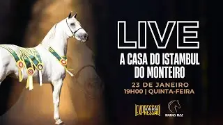 LIVE HARAS RZZ - 23/01/2025
