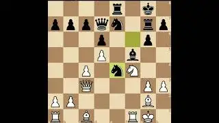 Perfect chess game #chess #magnus 4