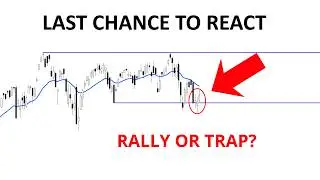 Technical Analysis of Stocks: SPY / QQQ / NVDA / TSLA / AMD / PLTR / UNH / ORCL