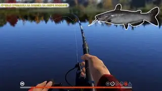 ЛУЧШАЯ ПРИМАНКА НА СОМИКА НА ОЗЕРЕ ЛОСИНОЕ! СОМИКИ АТАКУЮТ ЭТУ ПРИМАНКУ!