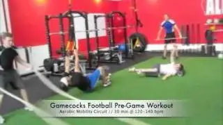 ALLOUT Sports Performance - Aerobic Mobility Circuit