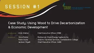 Case Study: Using Wood to Drive Decarbonization and Economic Development