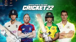 How to Play Cricket 22 on Low End PC