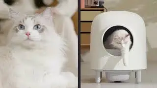 #petree 2 -Король в мире #автоматических #туалетов для #кошек #cat #home #интерьер #unboxing #туалет