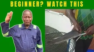 Everything About Fish Farming for Beginners | Full Guide in 16 Minutes