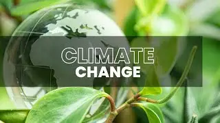 Qatar's Initiatives To Combat Climate Change