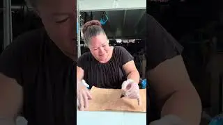 DYE USED IN PAINTING TAPA OTHER THAN MANGROVE DYES