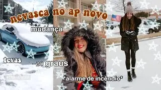 VLOG | brasileira morando no Texas: ap novo, nevasca, etc