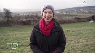 Fernsehbericht SCHAU TV - Ziegenwanderung schau LEBEN vom 18.1.22