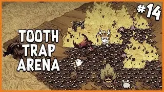 🌲 Building a Tooth Trap Arena | Don't Starve Together Gameplay | Part 14