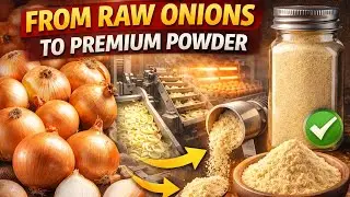 Inside the Largest US Factory: From Raw Onions to Premium Powder (Full Process)