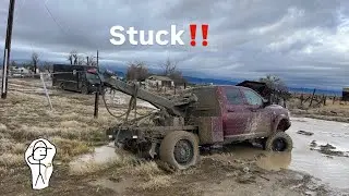 Rookie Driver Gets Tow Truck Stuck In Mud!! Multiple Recoveries‼️