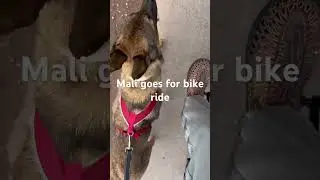 Mali bike ride