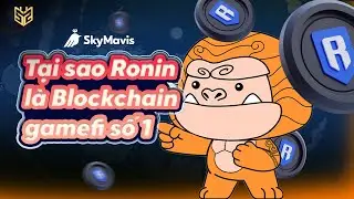 Tại sao Ronin l&agrave; Bolckchain gamefi số 1