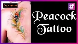 Feather Tattoo: Outline | Peacock Feather Tattoo