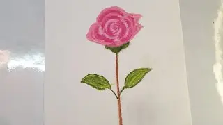 How to make easy 🌹 rose drawing by oil pastel colors