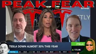 TESLA STRUGGLES / HYBRID TAKEOVER? / FAIR WEATHER TSLA BULLS