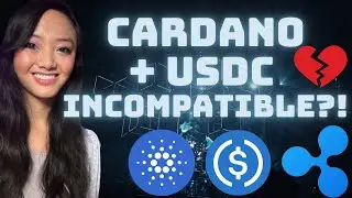 Cardano + Circle (USDC): Not a Good Fit?