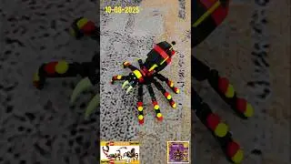 Lego Creator SPEED BUILD Snake Scorpion Spider 3in1 Wild Animals: Surprising Spider