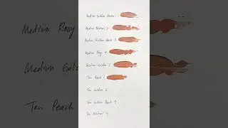 Swatching Every Shade of the New PATRICK TA Major Skin Soft Blur Concealer