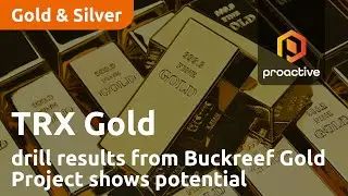 TRX Gold drill results from two key areas of the Buckreef Gold Project show resource potential