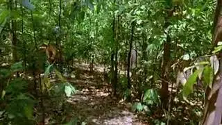 Agyaat movie part-9