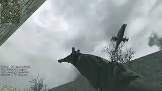 COD4 - HC TDM - MP5/AK-47 - 53/18