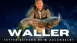 Heimischer Fluss + Wurm = FETTER FANG?!🐟🌙