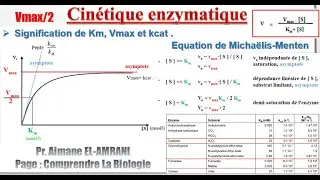 Séance 8 : Signification de Km, Vmax et kcat et l'équation de Michaëlis Menten.