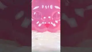 Jelly Cat Face Press &mdash; Satisfying Loop | Impossible Animals  #asmr  #satisfying #shorts