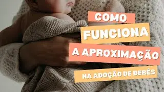 Como funciona a aproximação na adoção de bebês | Nossa história com o Neneco