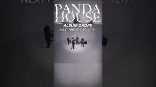 Only 9 Days LEFT! 😱 #detroitmusicscene #midwestmusicscene #emocore #pandahouse #thirdmanrecords