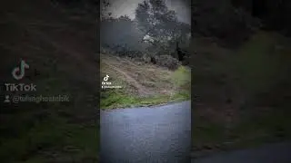 Marsh Rd San Jose Urban Legend.