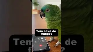 Louro Cafun&eacute; passando trote pro a&ccedil;ougue🤣🤣