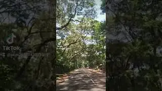 Dabulla  🇱🇰